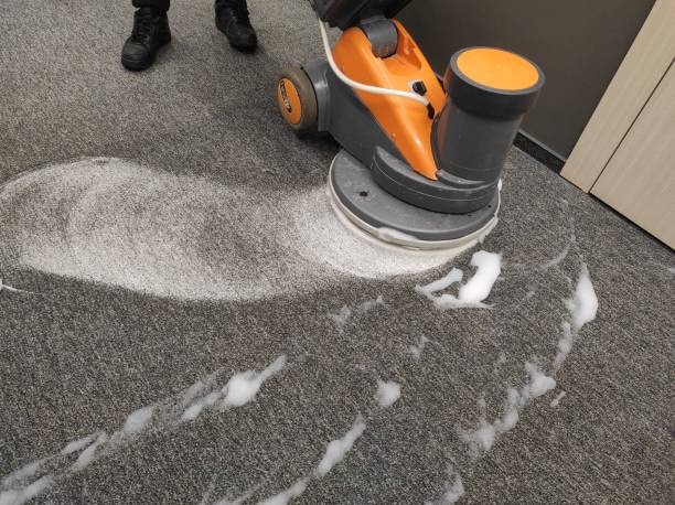 Transform Your Carpets: Melbourne’s Premier Carpet Cleaning Service